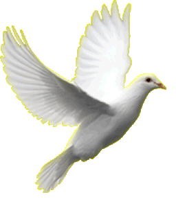 dove image